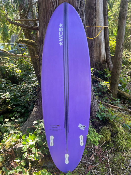 Custom 5'9 (EPS)