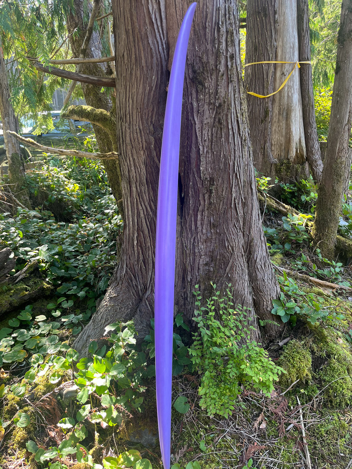 Custom 5'9 (EPS)