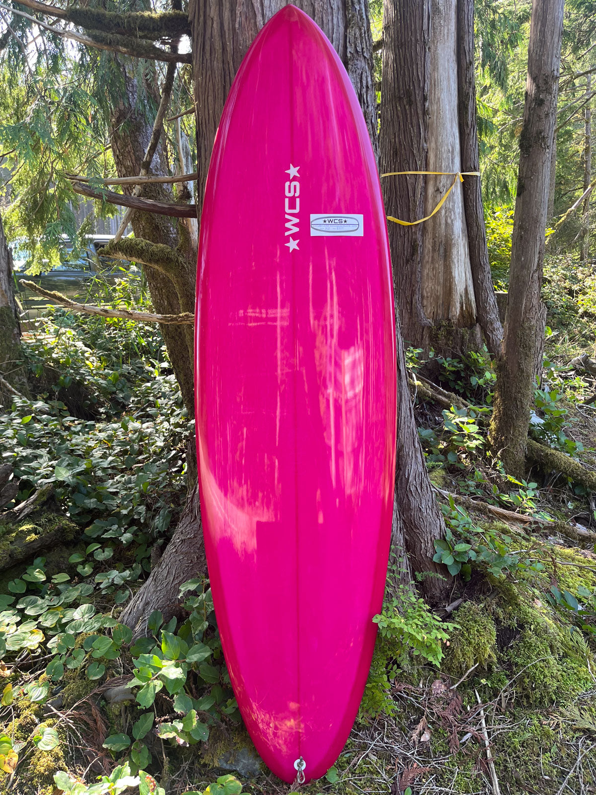 Custom 6'6 Pink – West Coast Shapes Ukee
