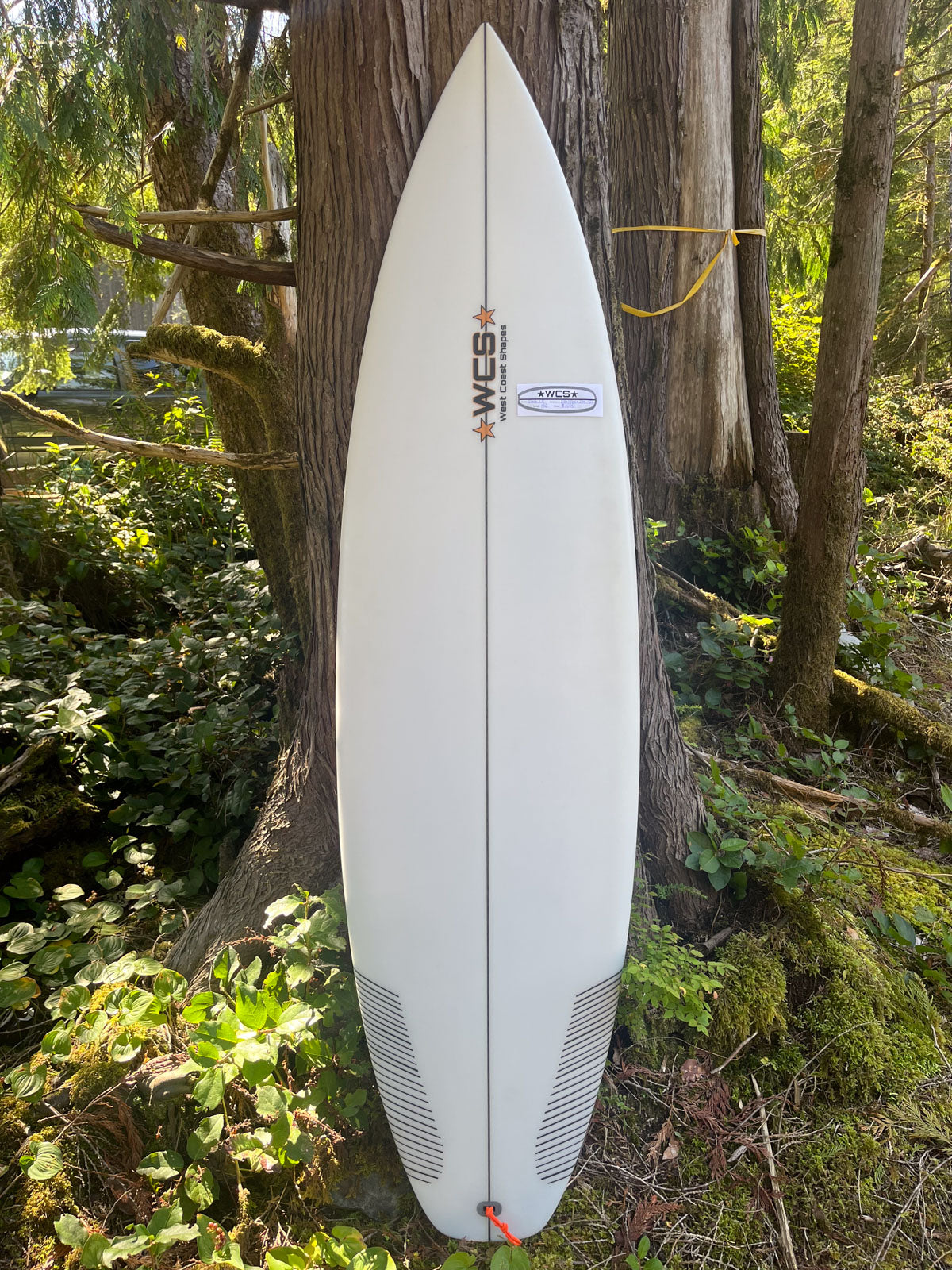 West Coast Shapes | Surfboards, Camping, Poke – West Coast Shapes Ukee
