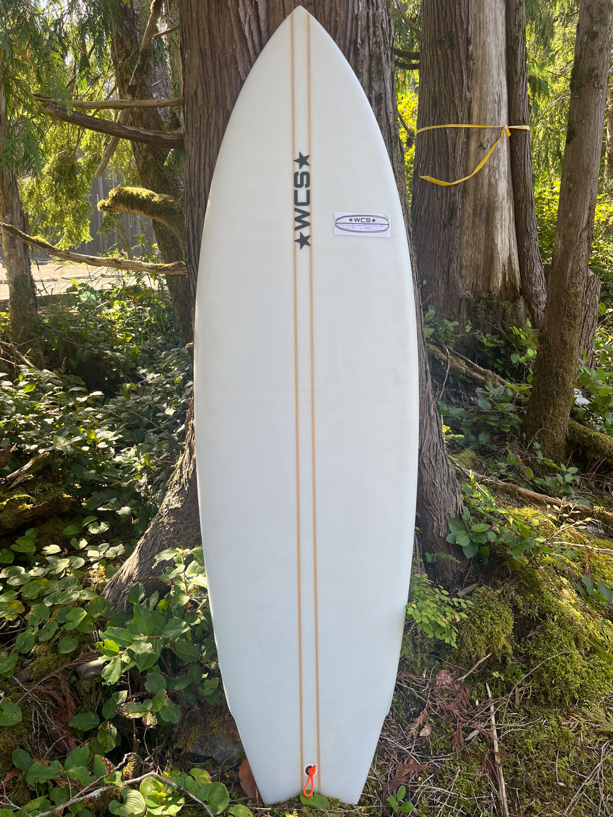 Fish 5'11