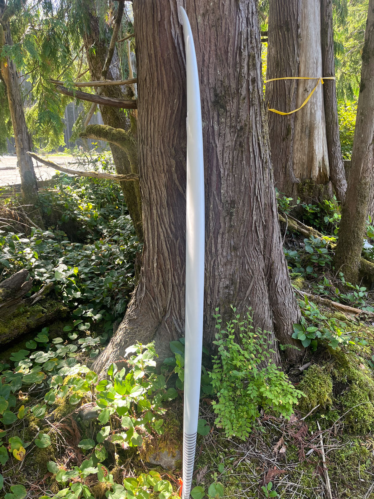 Wick 6'0