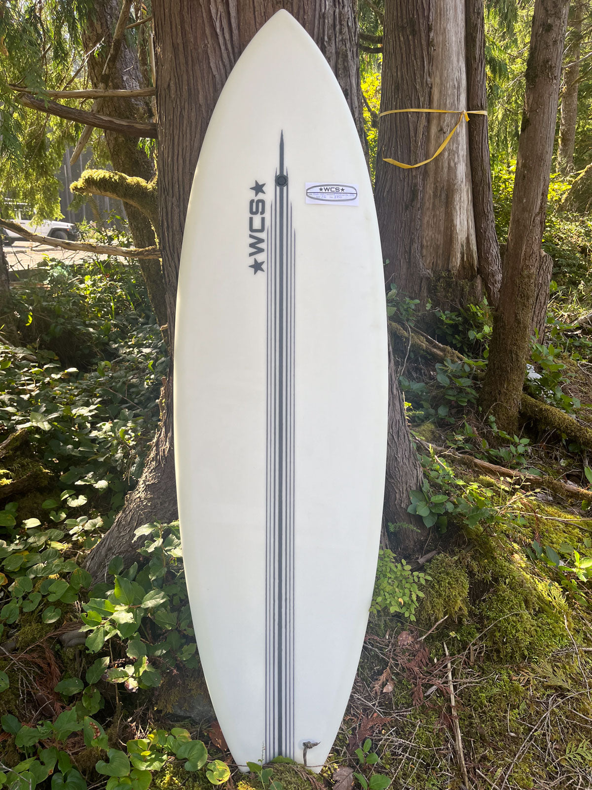Fish 5'11 (EPS)