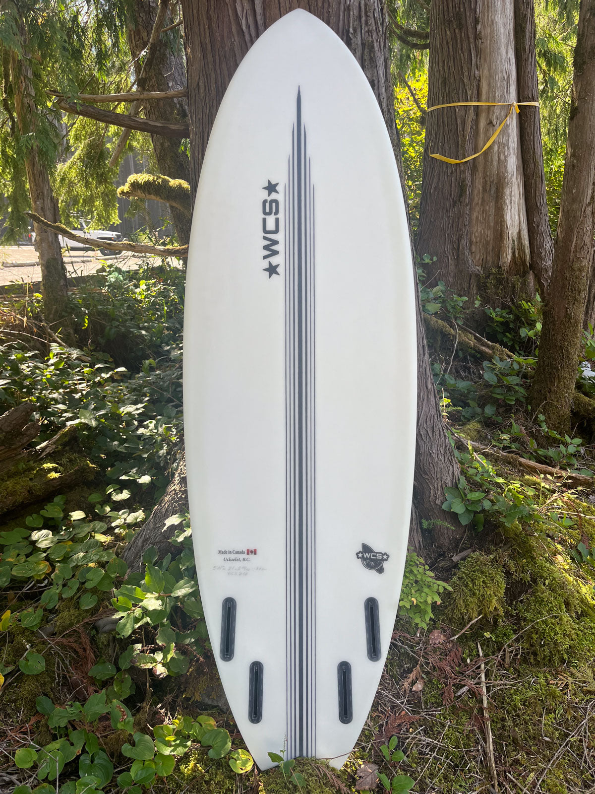 Shortboards – West Coast Shapes Ukee
