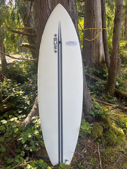 Fish 6'1 (EPS)