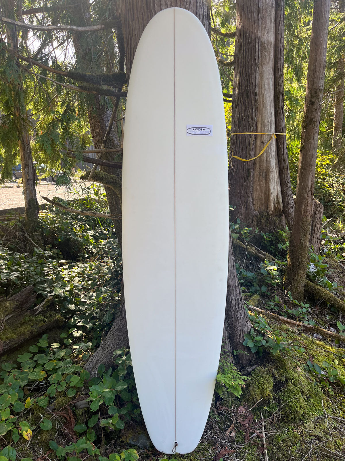 Funboards – West Coast Shapes Ukee