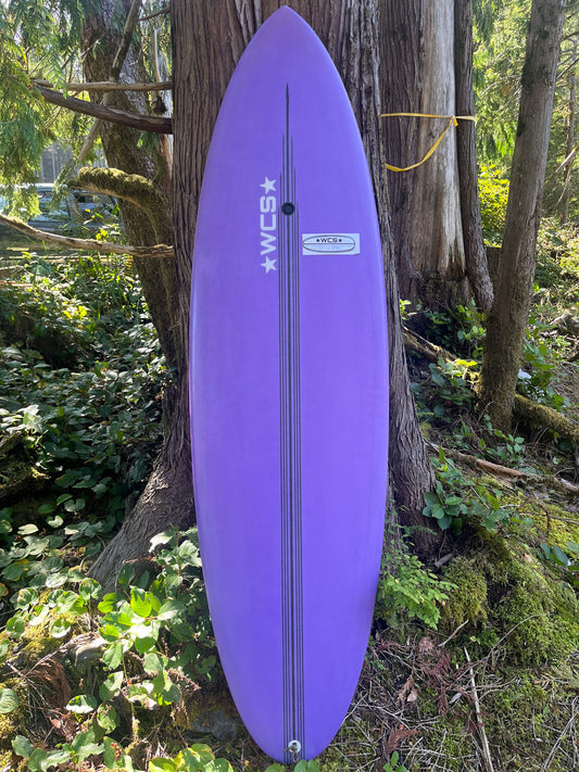 Custom 5'9 (EPS)