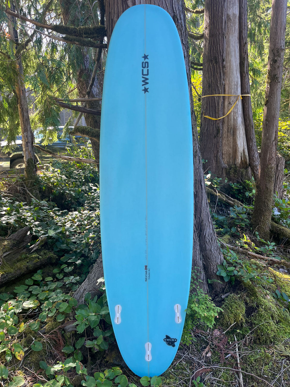Funboards – West Coast Shapes Ukee