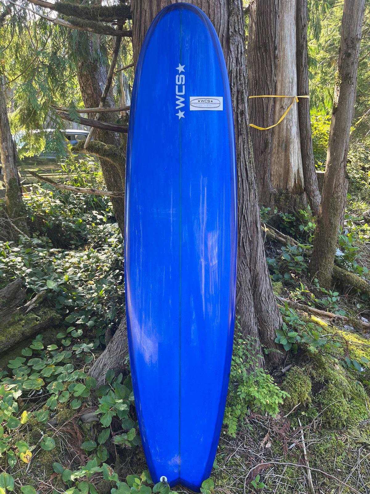 Funboards – West Coast Shapes Ukee
