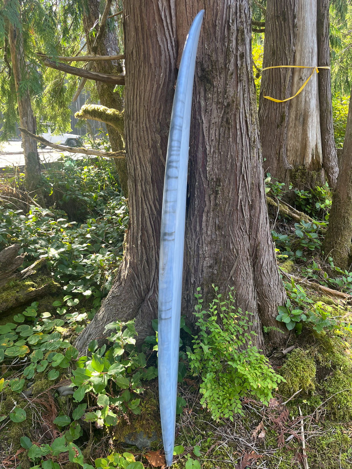 Marble Fish 5'5