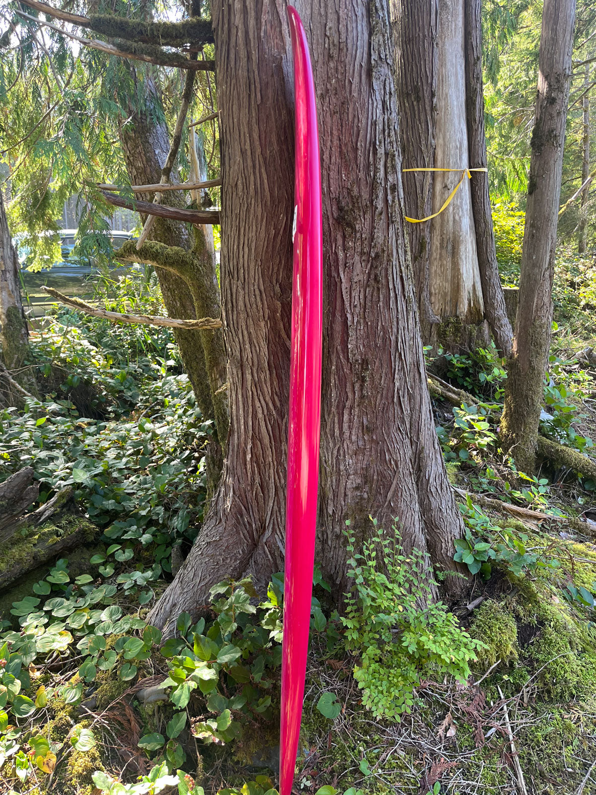 Custom 6'6 Pink – West Coast Shapes Ukee
