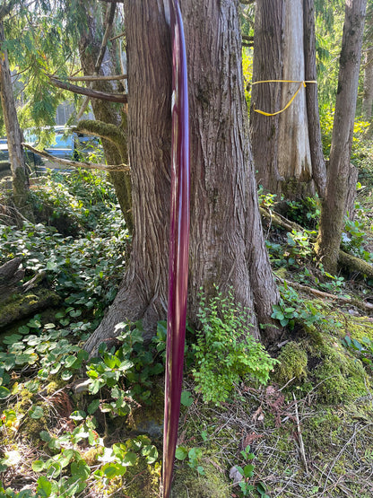Custom 6'6 Maroon